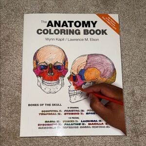 Anatomy Coloring Book with Colorful Skull Illustrations